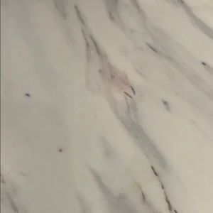 Meet your Posher, Jacqueline